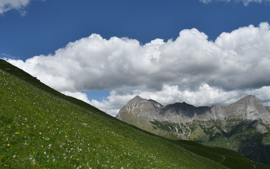 Monte Nona – Monte Croce (Stazzema)