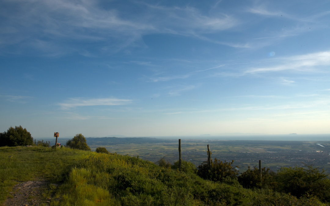 Itinerario del Monte Faeta (Lucca – Capannori – Pisa)