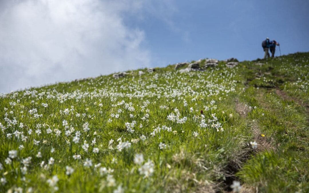 Itinerario del Monte Croce